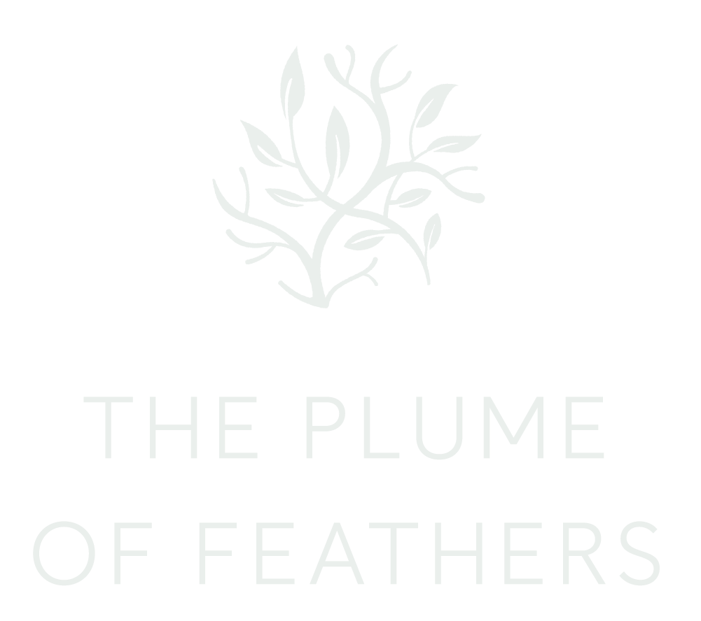 The logo for plume